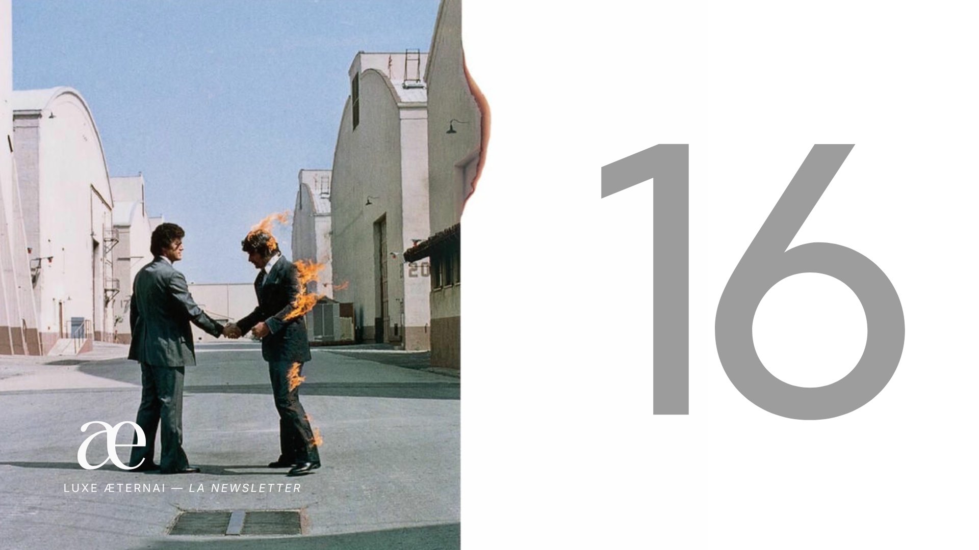 Edition #16 — The War on Fakes
